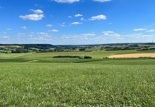 22-07-08 16-41-58 1539